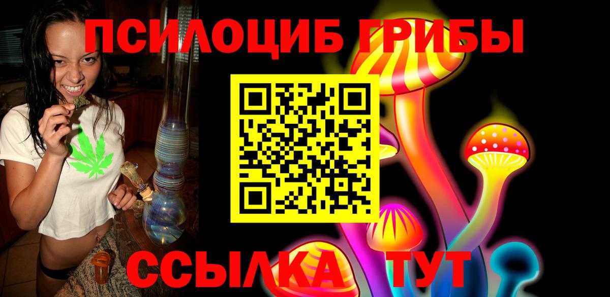 Псилоцибиновые грибы прущие грибы Ленинск-Кузнецкий