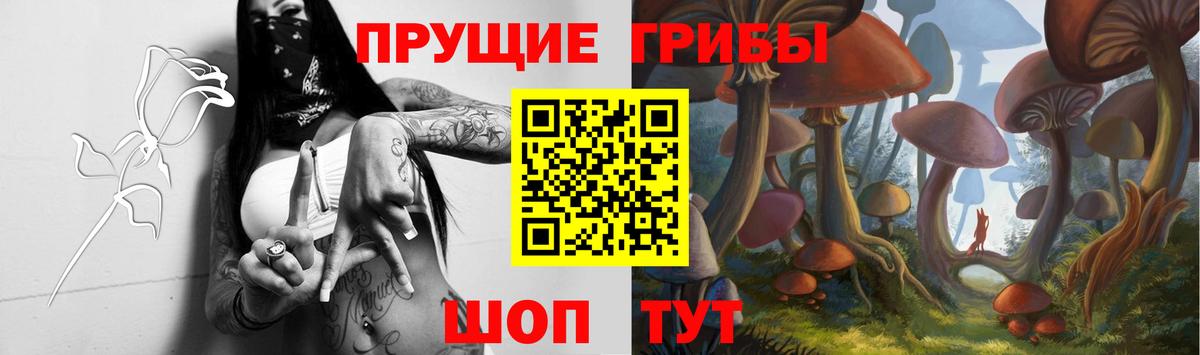 Псилоцибиновые грибы мицелий  купить  цена  Ленинск-Кузнецкий  Вход с VPN 